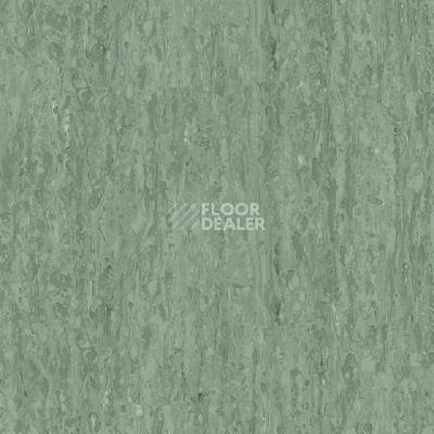 Линолеум Tarkett iq Optima Dark Green 0252 фото 1 | FLOORDEALER